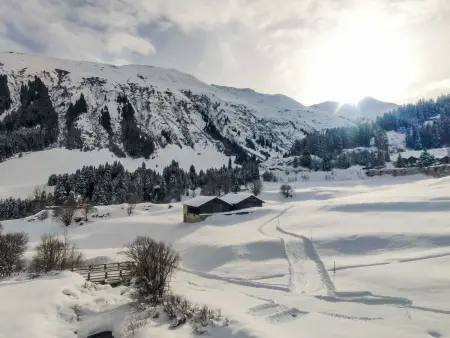 La Praula, Appartement 7 personnes à Sedrun - Photo 35