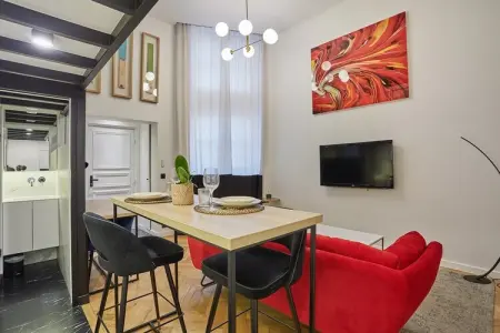 FBG ST MARTIN 236 1, Centre Duplex de Paris - Photo 4