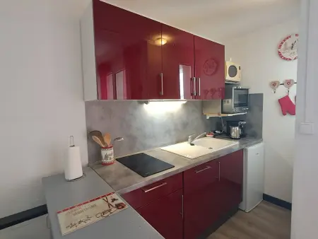 Studio avec animaux admis - 3 pers., Appartement 3 personnes à Les Deux Alpes - Photo 2
