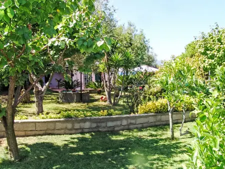 Villa Cecilia, Villa 8 personnes à Capoliveri - Photo 23