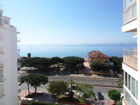 Appartement vue mer, animaux admis - 5 pers., Appartement 3 personnes à Malgrat de Mar - Photo 1