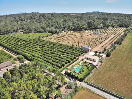 Villa piscine privée, clim - 6 pers., Villa 6 personnes à Ariany - Photo 28