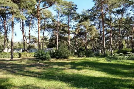 L'Ecureuil, Mobil-home Keiheuvel (6p) - Photo 19
