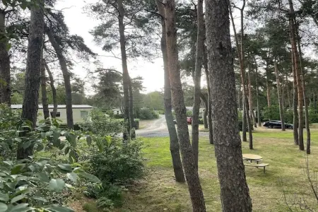 L'Ecureuil, Mobil-home Keiheuvel (6p) - Photo 20