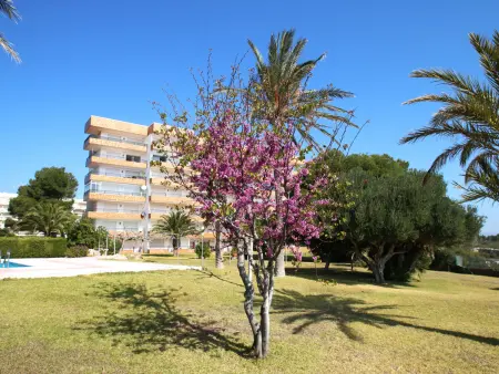 Appartement vue mer et montagne - 6 pers., Appartement 6 personnes à Miami Platja - Photo 11