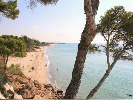 Appartement familial, animaux admis - 6 pers., Appartement 6 personnes à Miami Platja - Photo 22
