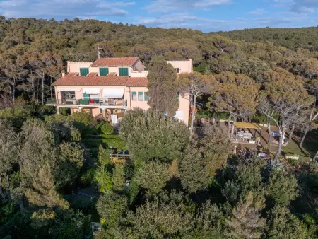 La casetta immersa nel verde, Appartement 4 personnes à Castiglioncello - Photo 33