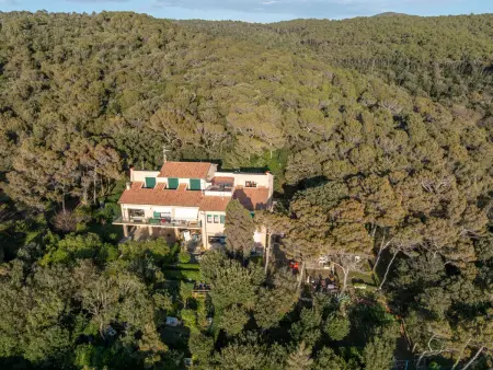 La casetta immersa nel verde, Appartement 4 personnes à Castiglioncello - Photo 35