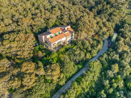 La casetta immersa nel verde, Appartement 4 personnes à Castiglioncello - Photo 42
