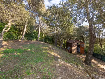 La casetta immersa nel verde, Appartement 4 personnes à Castiglioncello - Photo 46