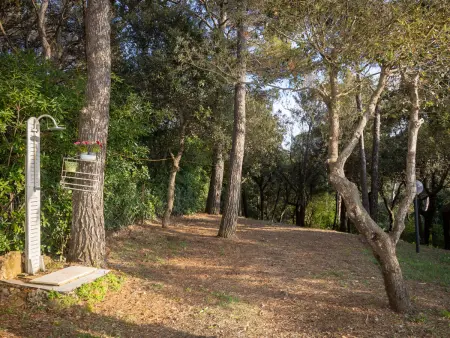 La casetta immersa nel verde, Appartement 4 personnes à Castiglioncello - Photo 48