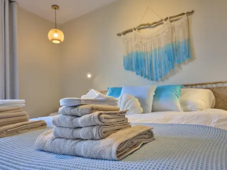 t Margrietje, Maison de vacances luxueuse avec bien-être - Photo 31
