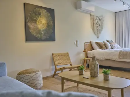 t Margrietje, Maison de vacances luxueuse avec bien-être - Photo 36