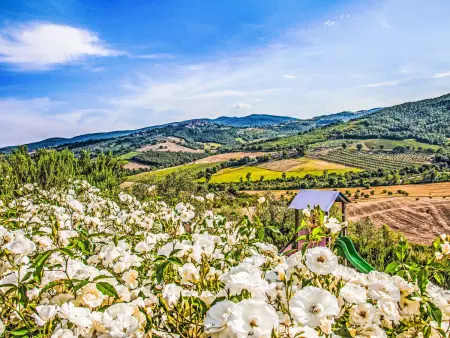 Agriturismo Belvedere delle Crete, Gite 16 personnes à Orvieto - Photo 36