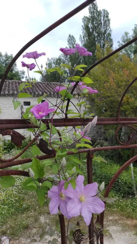 Maison avec piscine partagée à Montaigu-de-Quercy - Photo 47