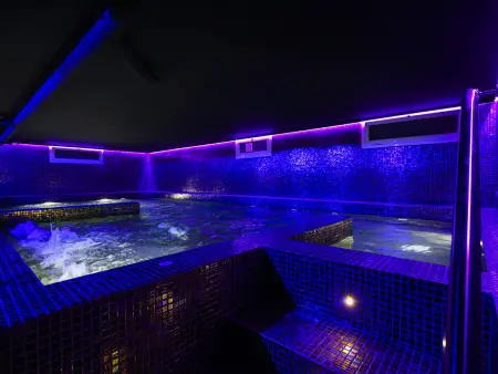 Grande villa avec spa et clim, animaux admis - 15 pers. - Photo 3