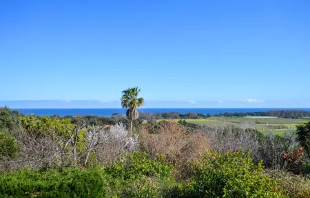 Villa vue mer au calme, Maison 6 personnes à SAN GIULIANO - Photo 13