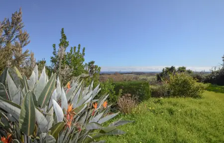 Villa vue mer au calme, Maison 6 personnes à SAN GIULIANO - Photo 14