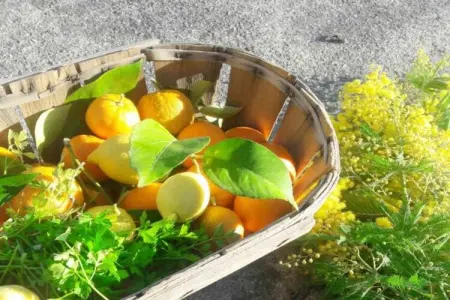 La Pascaline, Pascaline, gîte pour 4 personnes - Photo 20
