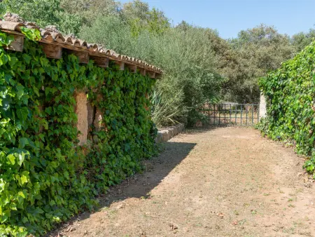 Gîte rural lumineux avec piscine privée - 12 pers. - Photo 21