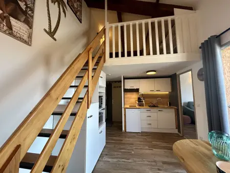 Appartement climatisé, terrasse - 4 pers., Appartement 4 personnes à Saint Cyprien - Photo 3