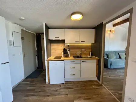 Appartement climatisé, terrasse - 4 pers., Appartement 4 personnes à Saint Cyprien - Photo 4
