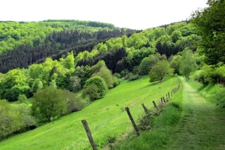 Le Ruisseau, Caravane haut de gamme avec terrasse à Érezée - Photo 30