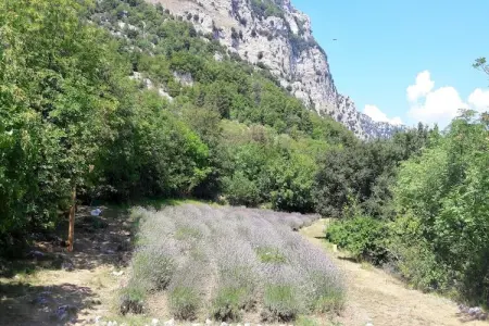 Noelie rez de jardin, Noelie, rez de jardin 6 personnes - Photo 13