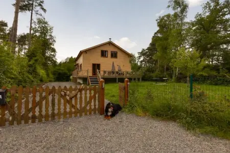 Chalet Joran, Chalet de luxe avec sauna en forêt - Photo 5