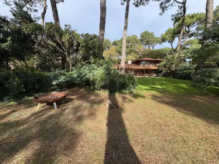 Villa avec piscine, animaux admis - 8 pers., Maison 8 personnes à Lège Cap Ferret Le Cap Ferret - Photo 6