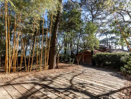 Villa avec piscine, animaux admis - 8 pers., Maison 8 personnes à Lège Cap Ferret Le Cap Ferret - Photo 26