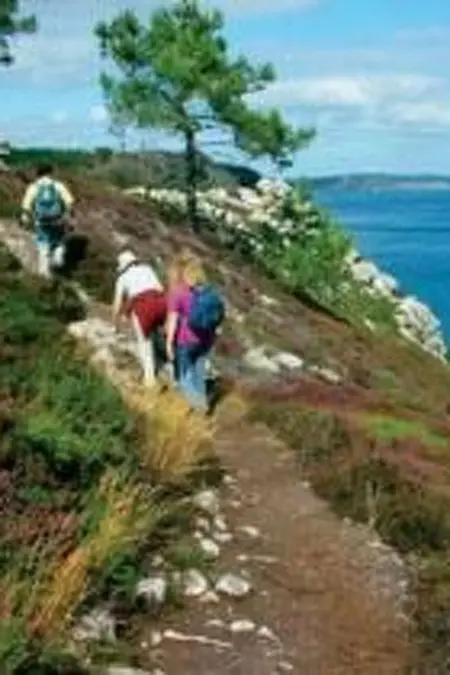 Les Hortensias  (Die Hortensien), Maison 9 personnes à Crozon Morgat - Photo 26