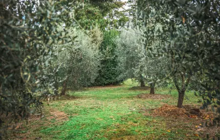 Maison 9 personnes à Orvieto - Photo 18