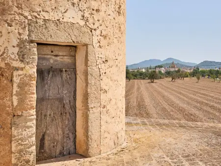 Moli den Cavea, Maison 6 personnes à Felanitx - Photo 23