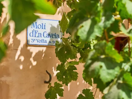 Moli den Cavea, Maison 6 personnes à Felanitx - Photo 38