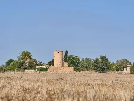 Moli den Cavea, Maison 6 personnes à Felanitx - Photo 43