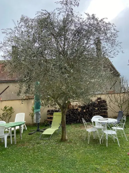 Charmant studio avec terrasse à Chenou, 20 m², Appartement 4 personnes à Chenou - Photo 7