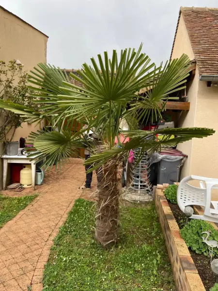 Charmant studio avec terrasse à Chenou, 20 m², Appartement 4 personnes à Chenou - Photo 8