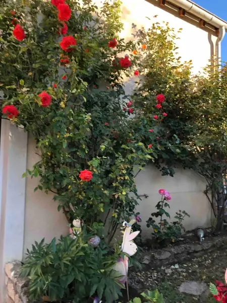 Charmant studio avec terrasse à Chenou, 20 m², Appartement 4 personnes à Chenou - Photo 12
