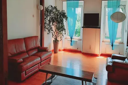 Gite Nouartais, Maison Nouart avec Jardin Barbecue - Photo 16
