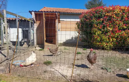 Charmante maison proche plage, Maison 4 personnes à Meschers sur Gironde - Photo 10
