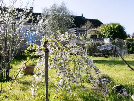 Maison de charme, animaux OK - 5 pers., Maison 5 personnes à Payrac - Photo 29