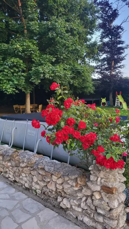 Maison charmante avec piscine à Mécringes, 100 m² - Photo 11