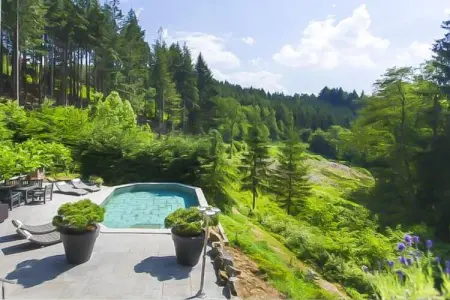 Landhuis la Forêt, Villa de luxe dans les Ardennes, piscine et sauna - Photo 9