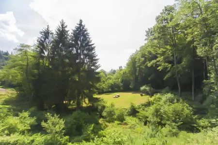 Landhuis la Forêt, Villa de luxe dans les Ardennes, piscine et sauna - Photo 35