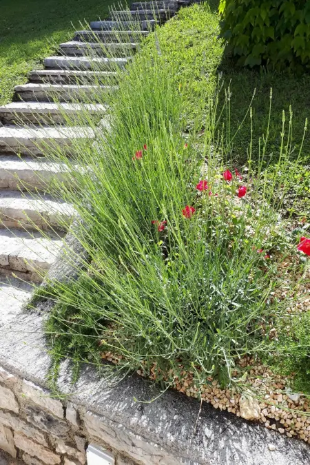 mit Pool, Maison 4 personnes à Limone sul Garda - Photo 6