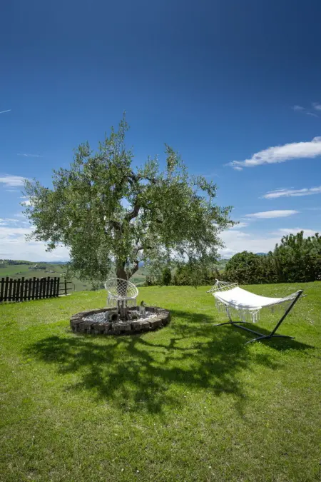 La Casa Di Campagna, Maison 11 personnes à Carassai - Photo 65