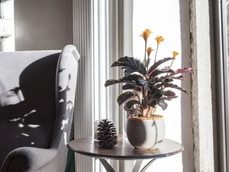 Mulino Morandi, Maison 12 personnes à Loro Ciuffenna - Photo 93
