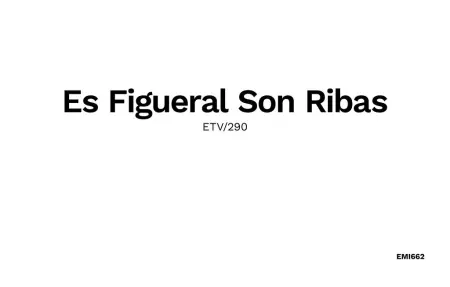 ES FIGUERAL SON RIBAS, Maison 4 personnes à Alaro - Photo 32