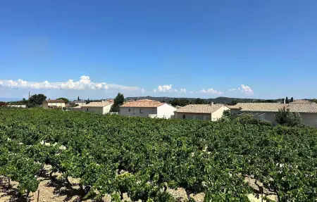 Maison 7 personnes à Rochefort du Gard - Photo 13